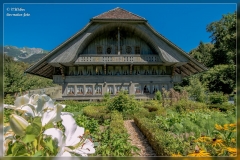 Ballenberg 2016