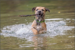 Pukas Wasser- shooting