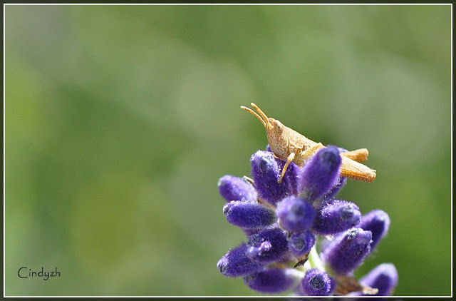 comp__DSC0012-1-Kopie