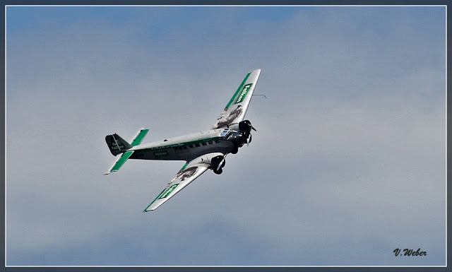 comp_IMG_1917-1