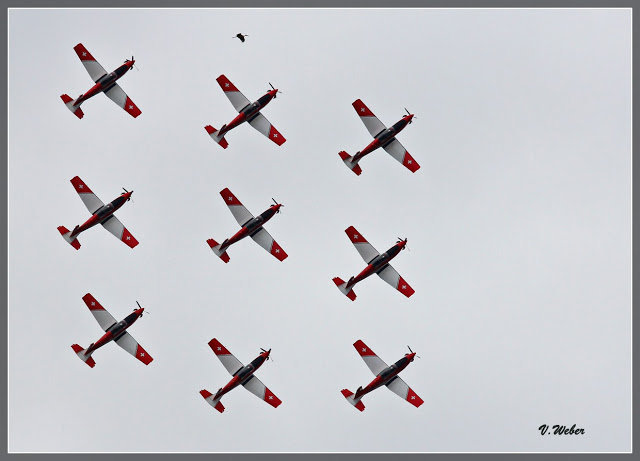 comp_IMG_1947-1