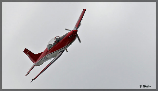 comp_IMG_1999-1