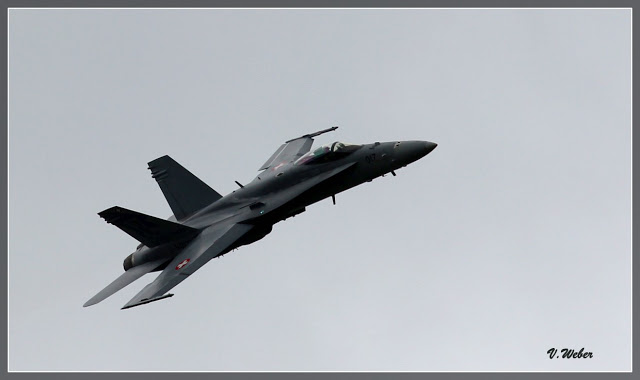 comp_IMG_2098-1