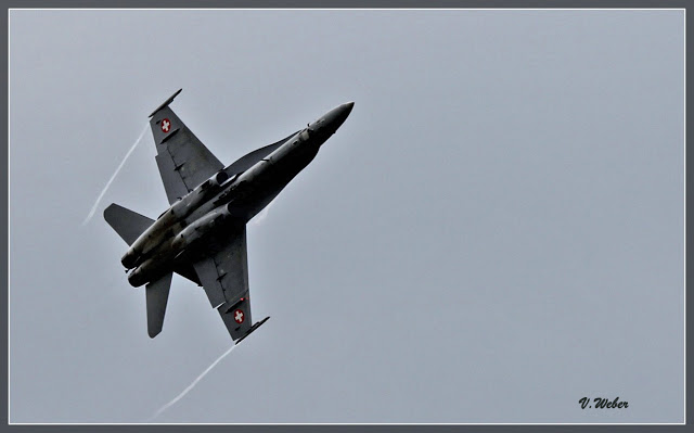 comp_IMG_2128-1