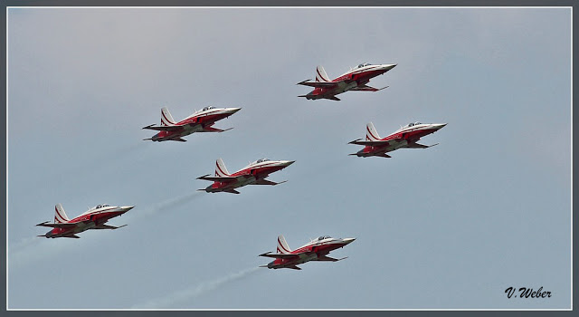 comp_IMG_8861-1