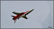 comp_IMG_9012-1