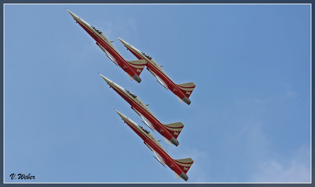 comp_IMG_9098-1