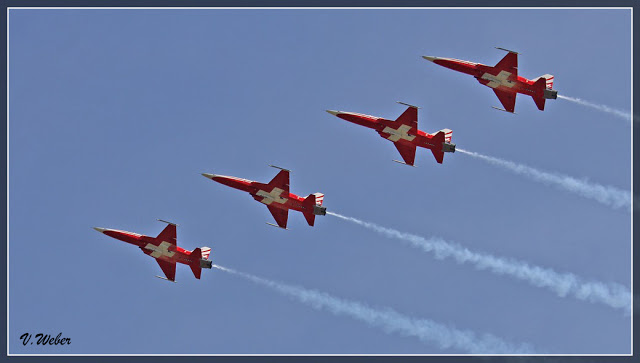 comp_IMG_9169-1