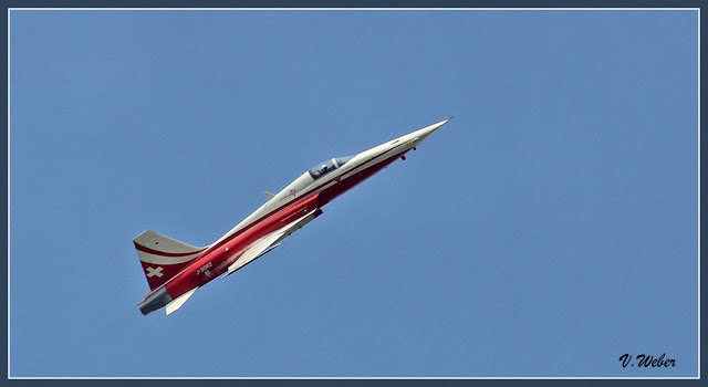 comp_IMG_9238-1