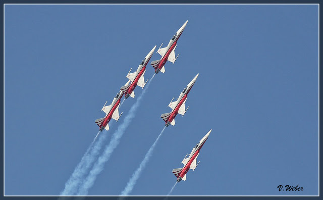 comp_IMG_9339-2