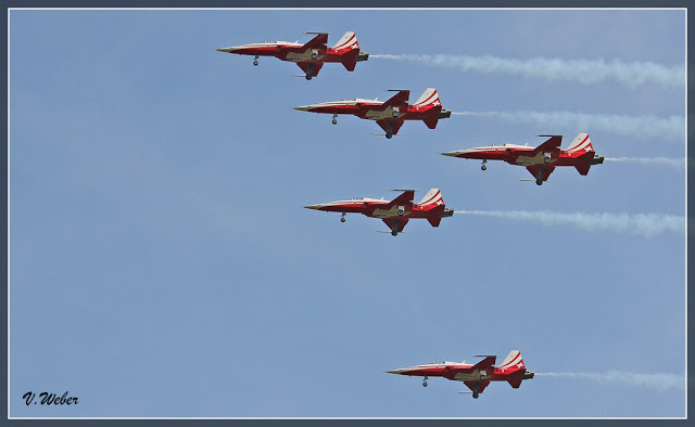 comp_IMG_9357-1