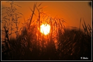 comp_IMG_0136-1