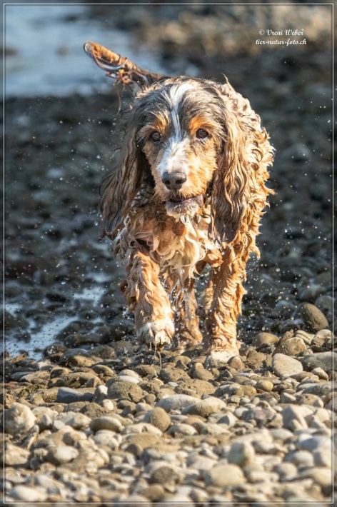 comp_IMG_7001-1