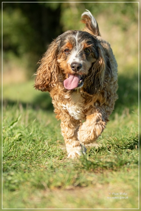 comp_IMG_8477-1