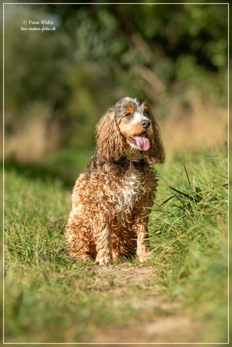 comp_IMG_8489-1
