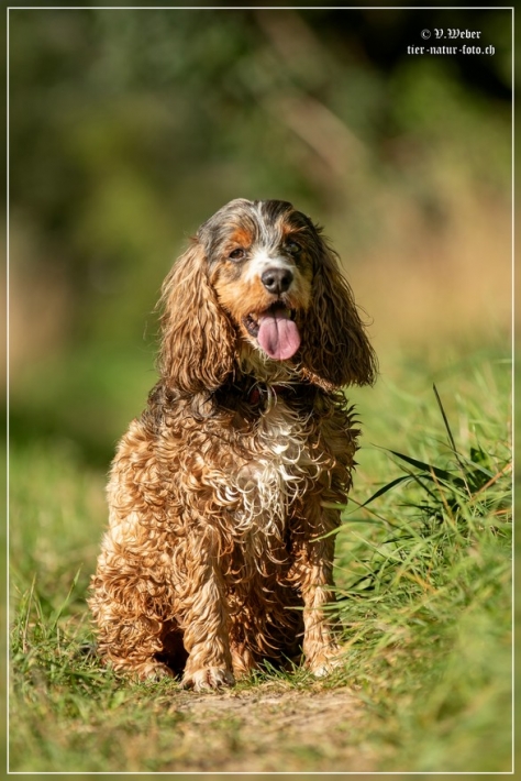 comp_IMG_8491-1