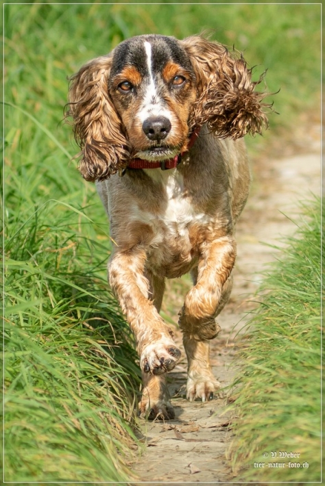 comp_IMG_8800-1