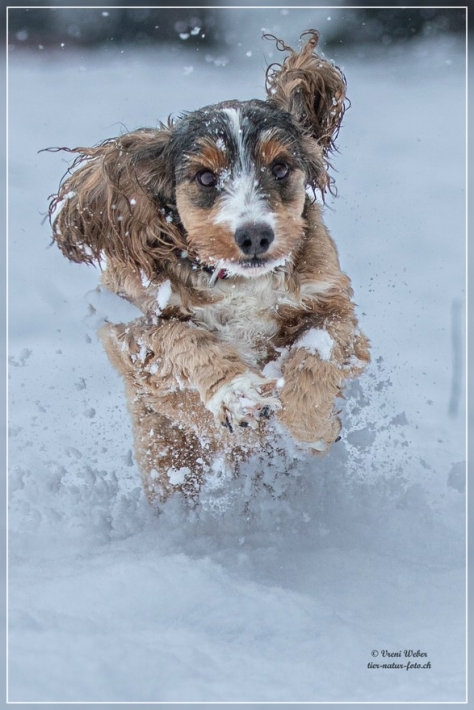 comp_IMG_9406-2