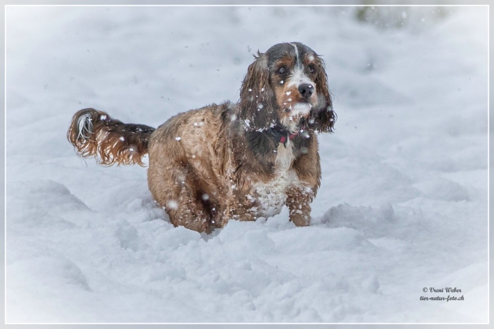 comp_IMG_9449-1