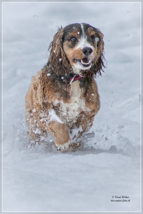 comp_IMG_9453-1