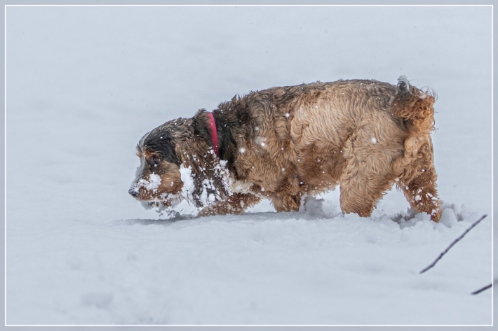 comp_IMG_9554-2