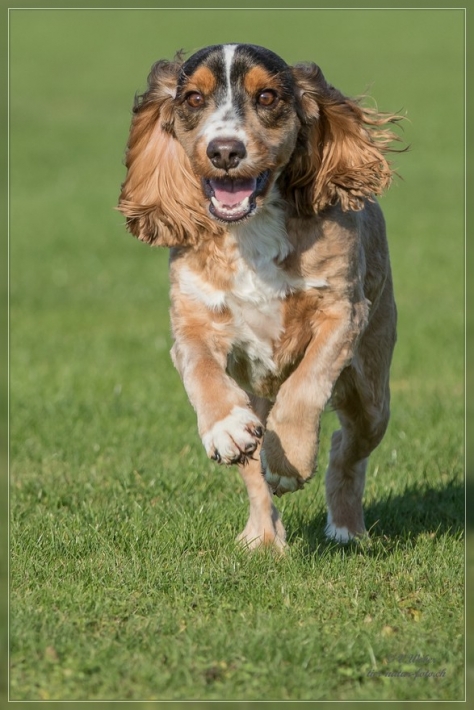 comp_IMG_1192-1