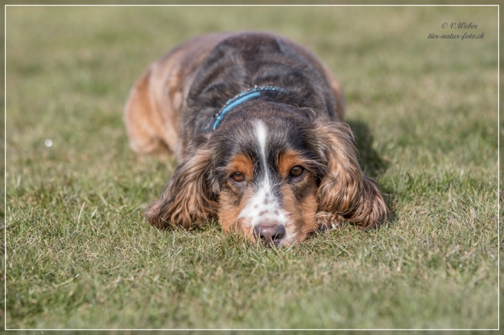 comp_IMG_9883-1