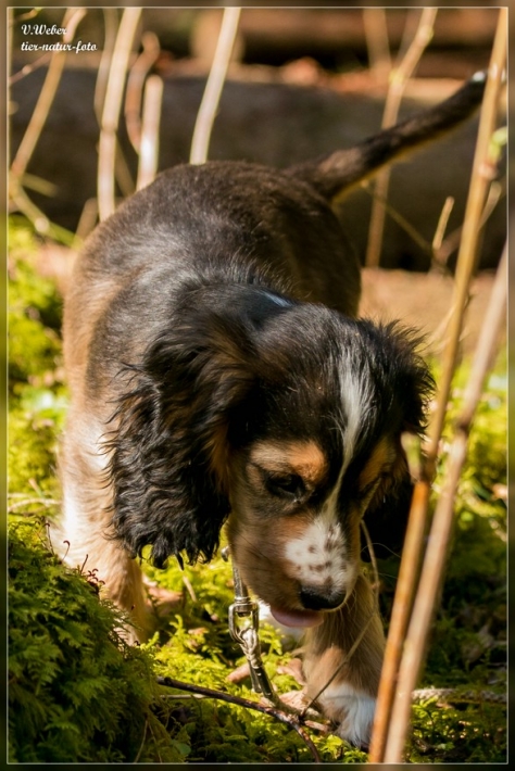 comp_IMG_7215-1