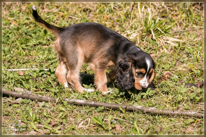 comp_IMG_7298-1