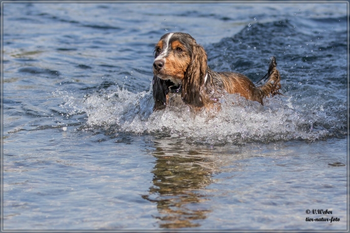 comp_IMG_6764-1