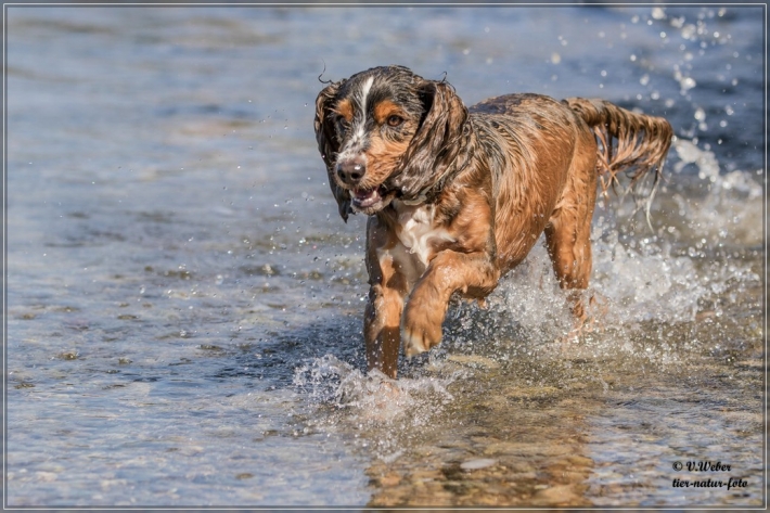 comp_IMG_7023-1