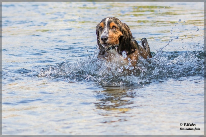 comp_IMG_7025-1