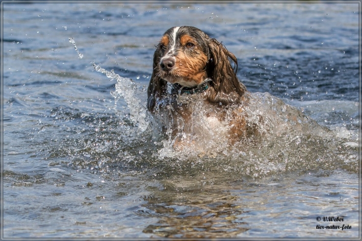 comp_IMG_7032-1
