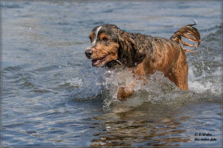 comp_IMG_7047-1