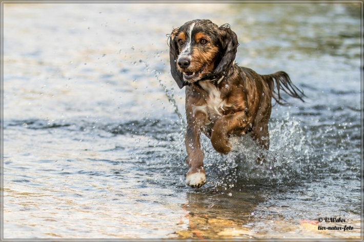 comp_IMG_7089-1