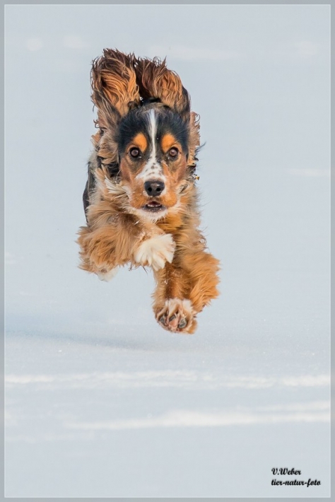 comp_IMG_1213-1