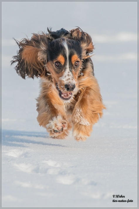 comp_IMG_1313-1