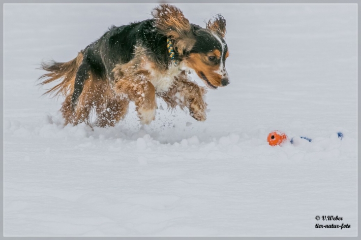 comp_IMG_0262-1