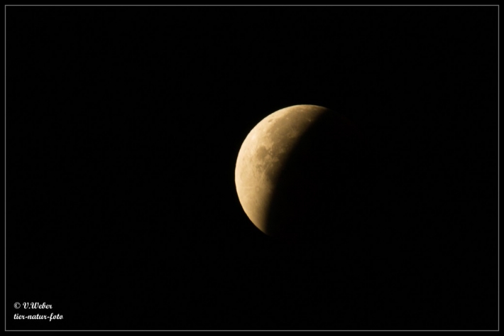 comp_IMG_6724-1