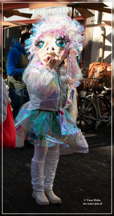 comp_IMG_5722-1