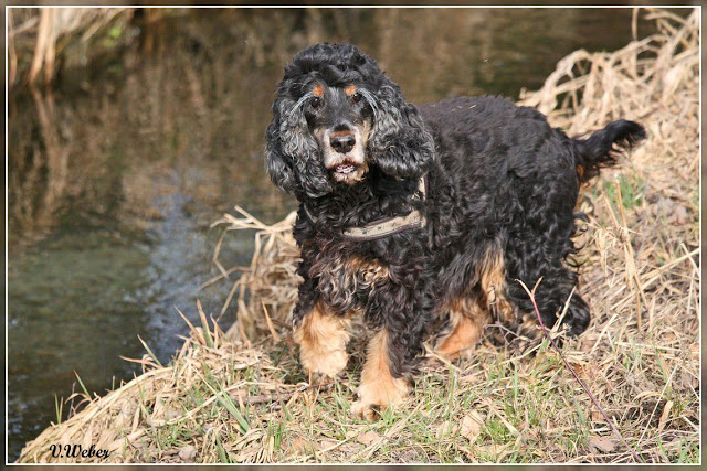 comp_IMG_1001-1