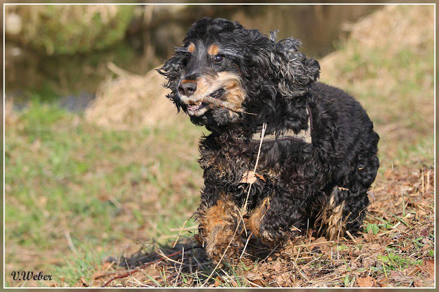 comp_IMG_1911-1