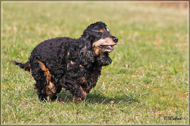 comp_IMG_2075-1