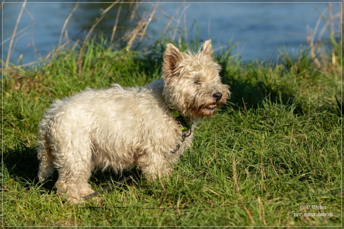 comp_IMG_7763-1
