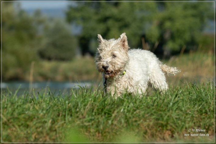 comp_IMG_7793-1