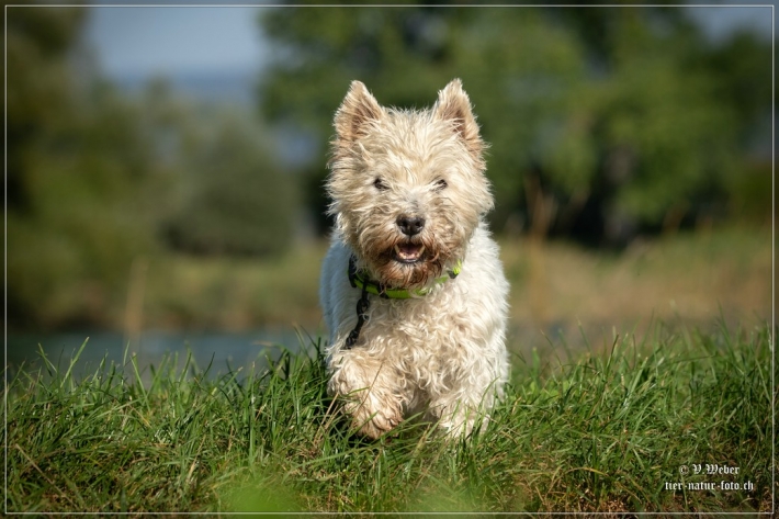 comp_IMG_7815-1