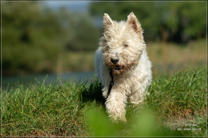 comp_IMG_7820-1