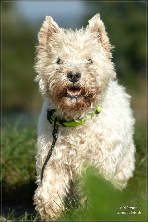 comp_IMG_7825-1