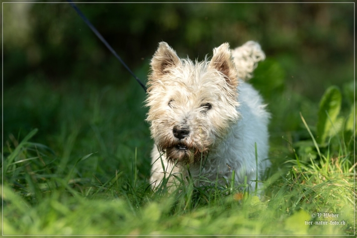 comp_IMG_7857-1