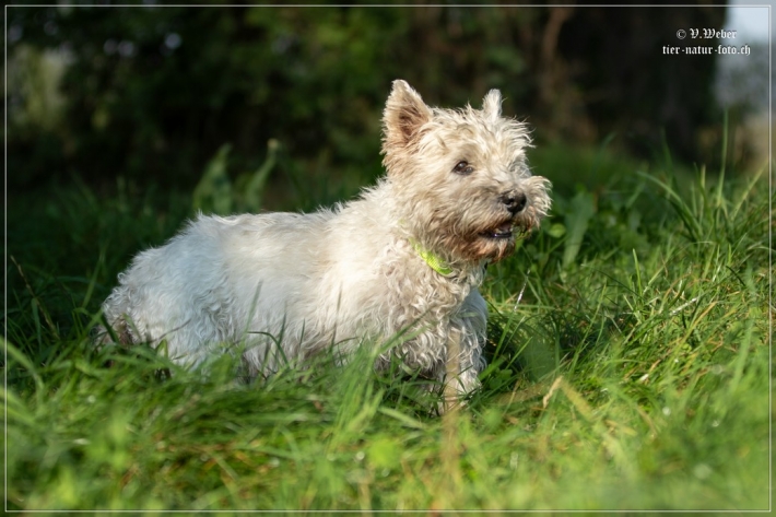 comp_IMG_7879-1